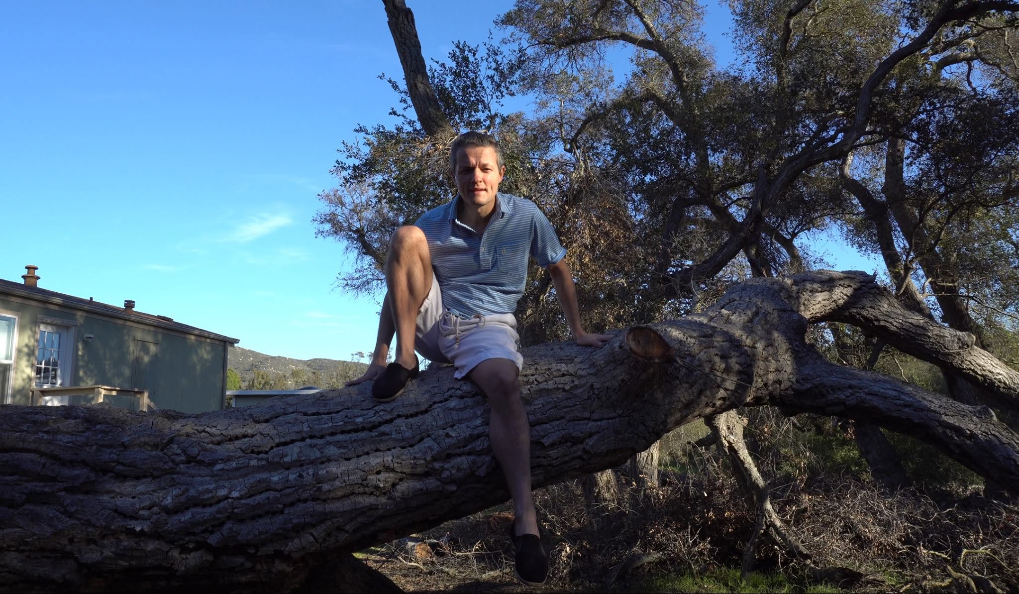 elfin-forest1.jpg